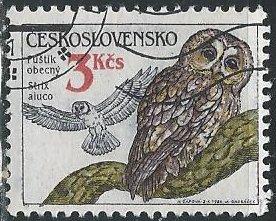 Czechoslovakia 2622 (used) 3k tawny owl (Strix aluco)