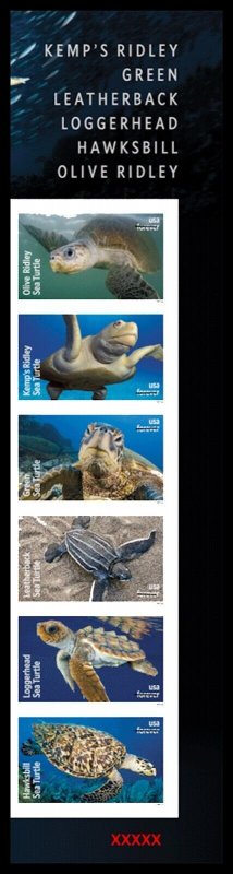 US 5865a-5870a 5870c Protect Sea Turtles imperf NDC plate strip 6 LR MNH 2024