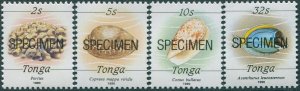 Tonga 1988 SG1000a-1008a Shells chaulk-surfaced paper specimen set MNH