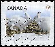 CANADA   #2426 USED (7)