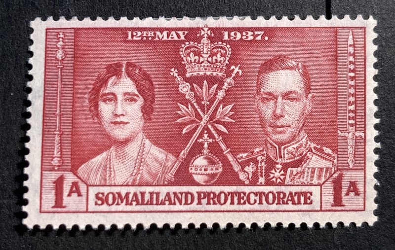 AlexStamps 
SOMALILAND PROTECTORATE #81 VF Mint