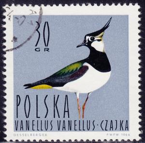 Poland - 1964 - Scott #1231 - used - Bird Lapwing