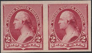 U.S. 219DP5 PAIR VF NGAI  (51421) 