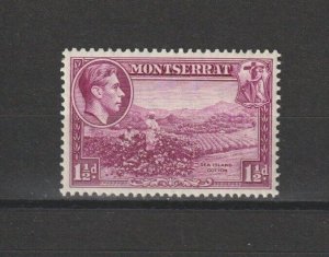 MONTSERRAT 1938/48 SG 103 MNH Cat £25