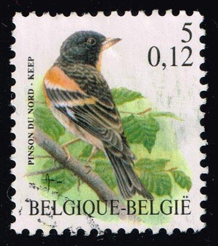 Belgium #1788 Pinson du nord Bird; Used (0.25)