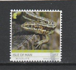 Isle of Man  Scott#  2010  Used  (2019 Common Lizard)