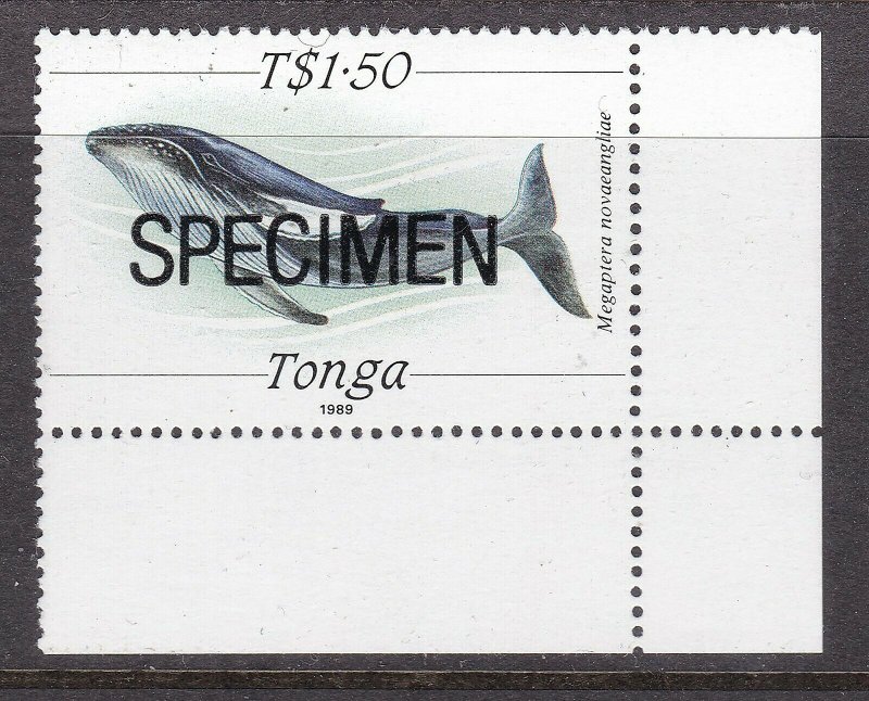 TONGA ^^^^^^SUPERB  MNH  WHALE  with  SPECIMEN $$@ ta1262tonga