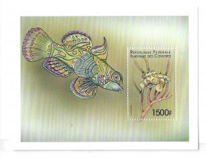 Comoro islands 1999 Fish Marine life S/S MNH C13