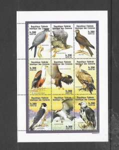 BIRDS - COMORO ISLANDS #928 RAPTORS SHEET OF 9  MNH
