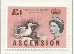 1963 BRITISH COLONY ASCENSION £1MH* Stamp A4P18F39630-