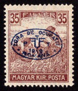 Hungary Scott 2N13 Unused hinged.