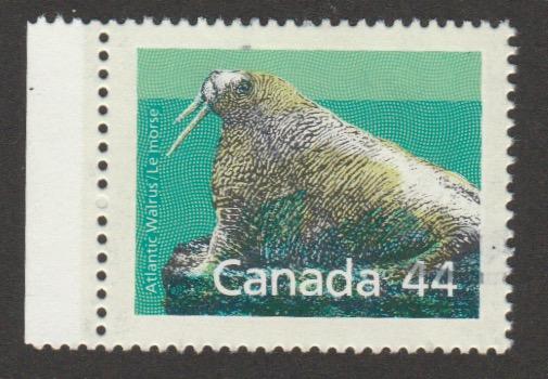 1171 Atlantic Walrus