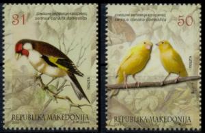 Macedonia 2015 Fauna Animals Pats Birds Canaries MNH