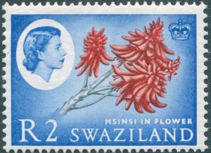 Swaziland 1962 2r Msinsi in flower SG105 MNH