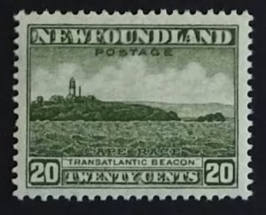 Newfoundland 263 VF MNH