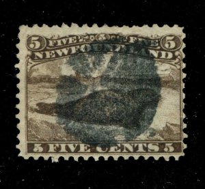 Newfoundland #25 SG 26 U F/VF 5c Harp Seal [N4062] CV=$375.00