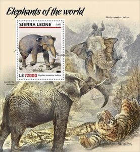 Sierra Leone - 2022 Indian Elephant - Stamp Souvenir Sheet - SRL220207b