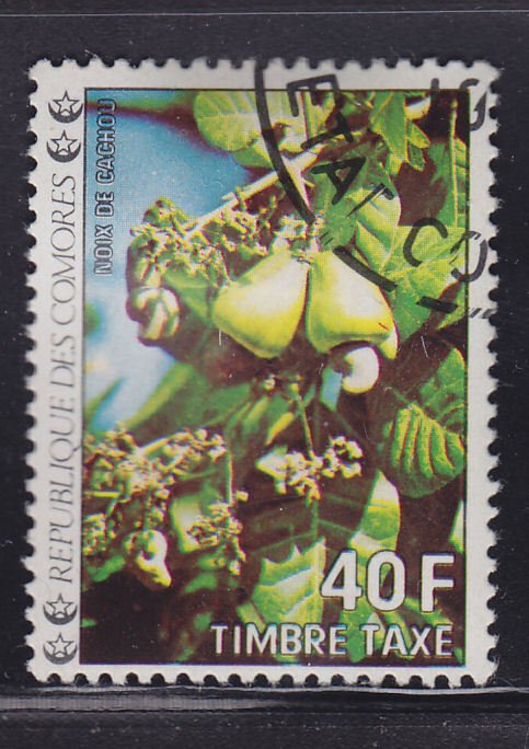 Comoro Islands J13 Flowers 1977