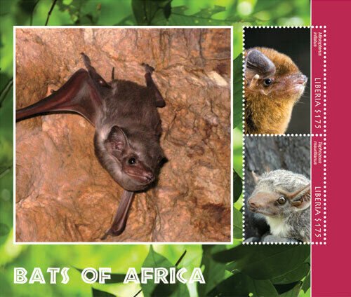 Liberia - 2014 BATS OF AFRICA - Souvenir Sheet of 2 Stamps - MNH