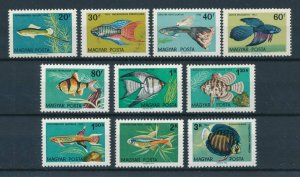 [108734] Hungary 1962 Marine life fish MLH