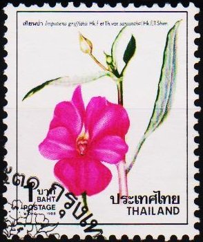 Thailand. 1988 1b S.G.1381 Fine Used