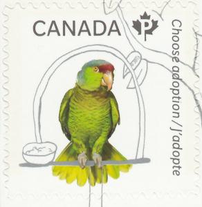 PARROT = stamp cut from booklet = ADOPT A PET = Canada 2013 #2638 MNH