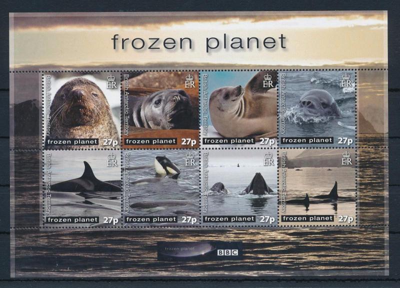 [27152] British Antarctic Territory 2011 Marine Life Seals Whales MNH Sheet