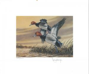 MONTANA #2 1987  DUCK  STAMP PRINT REDHEADS by Roger Cruwys