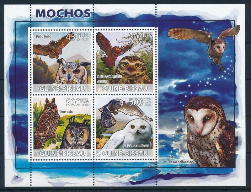 [96515] Guinea Bissau 2008 Birds Vögel Oiseaux Owls Sheet MNH