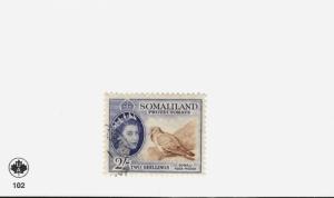 1953 Somaliland Protectorate  SC #137 ROCK PIGEON used stamp