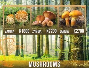 Stamps.  Mushrooms  2020 1+1 sheets perforated