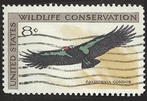 # 1430 USED CALIFORNIA CONDOR