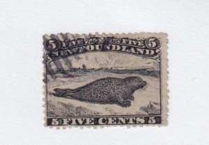 NEWFOUNDLAND # 26 FVF-USED 5cts HARP SEAL FORGERY A GOOD ONE AT THAT