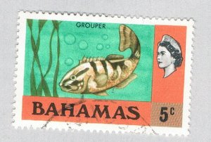 Bahamas 317 Used Grouper fish 1971 (BP63810)