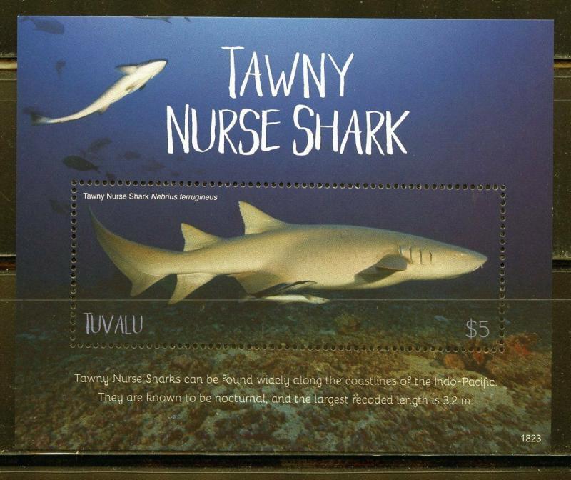 TUVALU 2019 TAWNY NURSE SHARK  SOUVENIR  SHEET  MINT NH