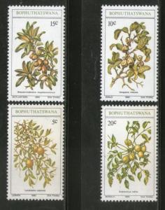 Bophuthatswana 1980 Edible Wild Fruits Trees Plants Flora Sc 56-59 MNH # 4273