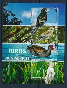 [40112] Montserrat 2009 Birds Vögel Oiseaux Ucelli   MNH Sheet