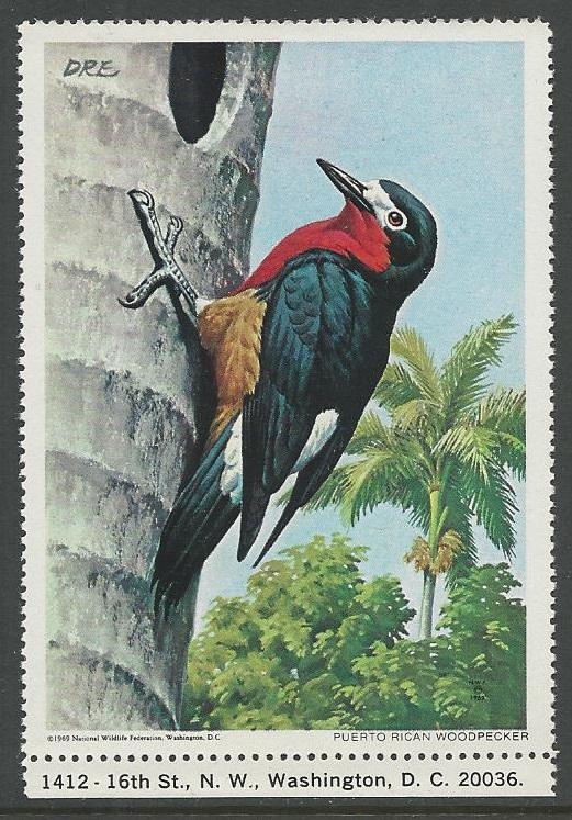 USA Bird 1969 Puerto Rican Woodpecker NWF National Wildli...