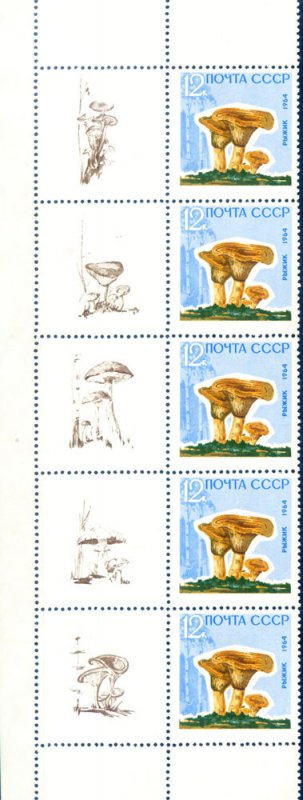 Flora. 1964 Mushrooms.