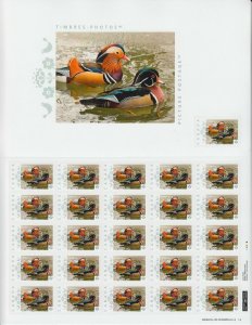 MANDARIN DUCKS = Picture Postage Sheet 25+1 with ENLARGEMENT Canada 2014 p75d2