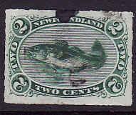 Newfoundland #145 - Scott #38 - 2c green Codfish - black spot of ink top centre