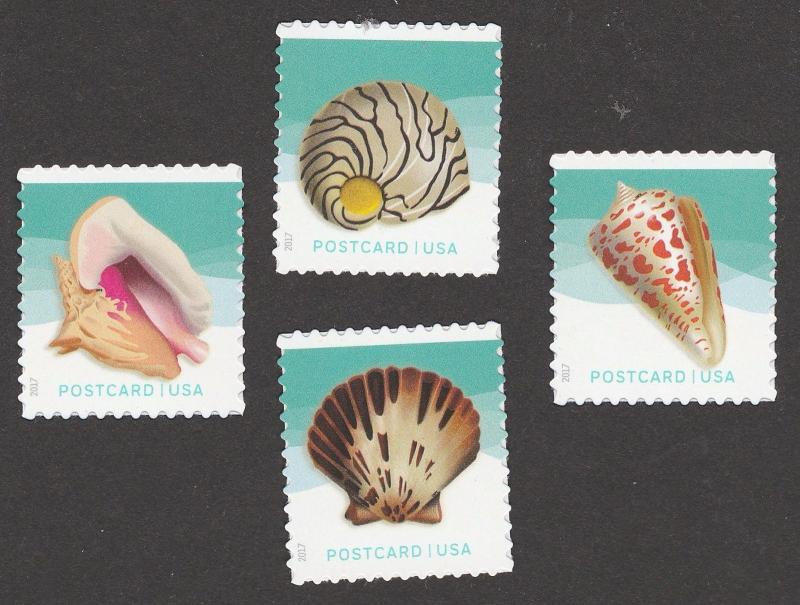 US 5163-5166 Seashells postcard set (4 stamps from sheet of 20) MNH 2017