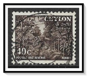 Ceylon #323 Rubber Trees Used