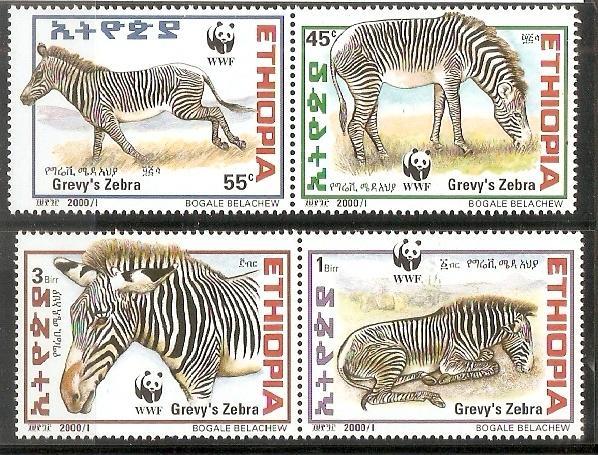 Ethopia 2000 WWF Grevy's Zebra Wild Animal Mammal Sc1533 MNH