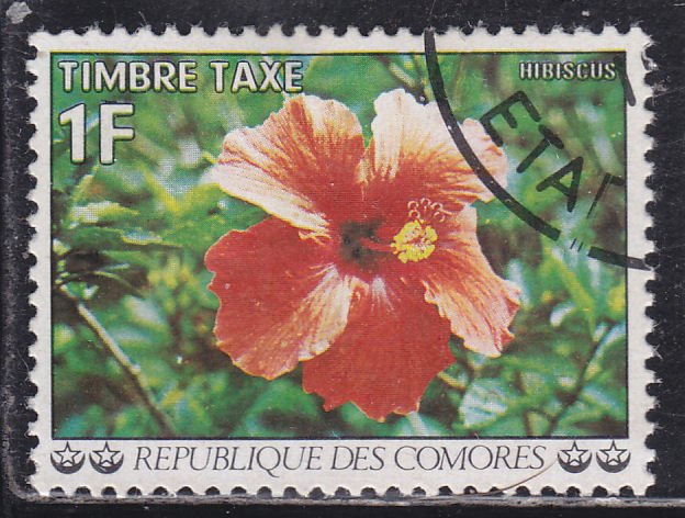 Comoro Islands J6 Flowers 1977