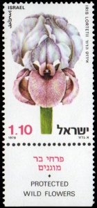 Israel 715 - Mint-NH - £1 Iris (1978)
