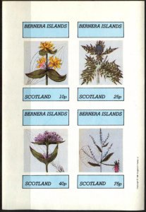 {B251} Bernera Scotland Flowers Sh.4 Imperf. MNH Cinderella !!