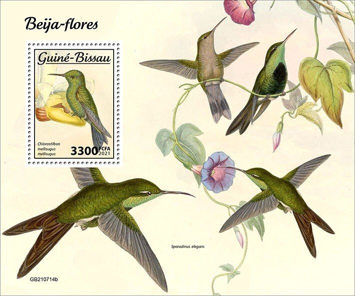 GUINEA BISSAU - 2021 - Humming Birds - Perf Souv Sheet - Mint Never Hinged