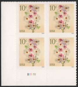 SC#5901 10¢ Poppies and Coneflowers Plate Block: LL #B11111 (2024) SA