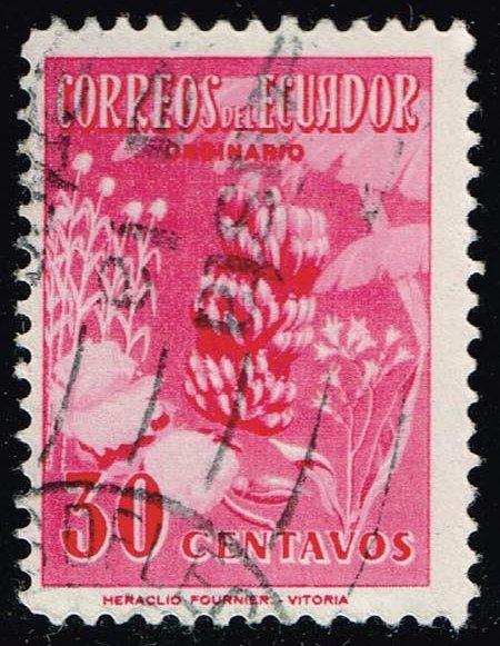 Ecuador #591 Bananas; Used (0.25)